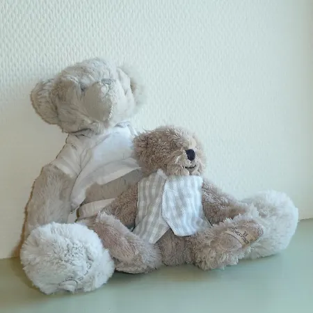 Fleur De Vigne 3* Monnieres (Loire-Atlantique)