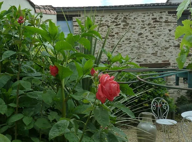 Alojamento de Acomodação e Pequeno-almoço Fleur De Vigne 3*