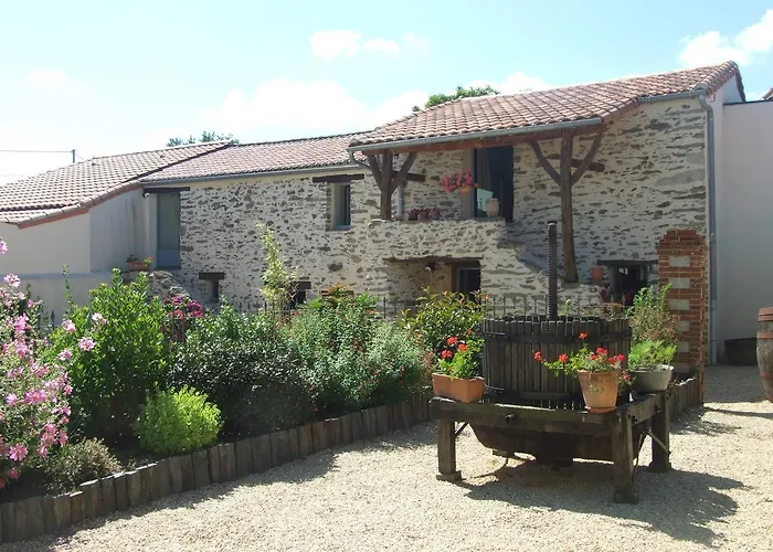 Couette-café Fleur De Vigne 3*