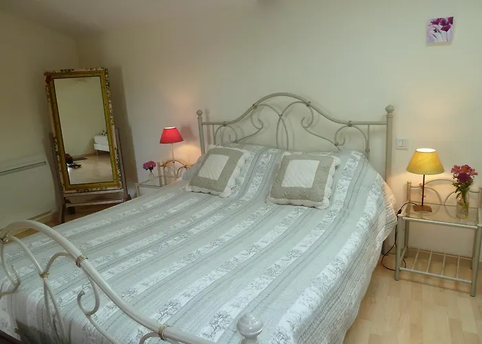 Couette-café Fleur De Vigne 3*