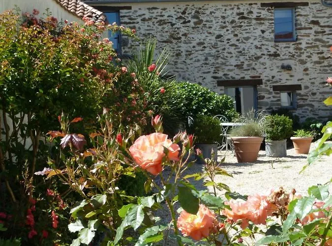 Fleur De Vigne Bed & Breakfast Monnieres (Loire-Atlantique)